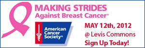 Making Strides 2012 300x100