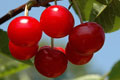 topevents_ph