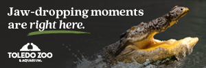 Toledo Zoo w/ Gator Summer 2026