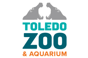 Go Ape Fun Run at the Toledo Zoo Photo