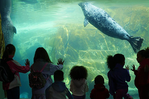 Winter Day Camps at the Toledo Zoo Photo
