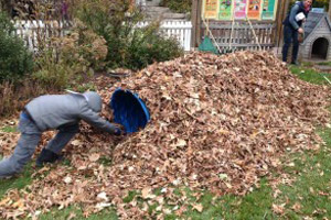 Get Outside and Play in Toledo Photo