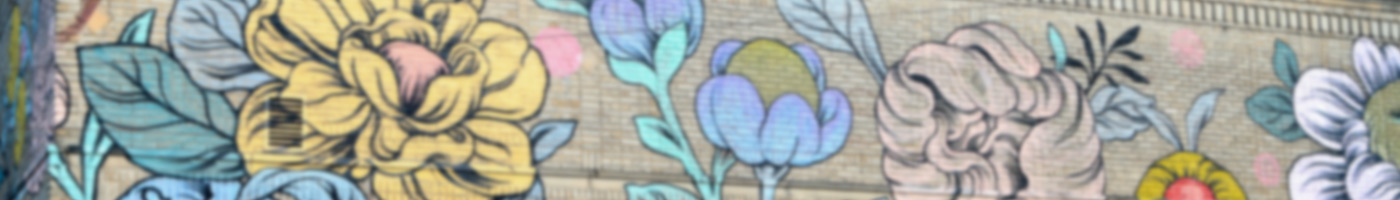 Blurred Header Image of Toledo Area