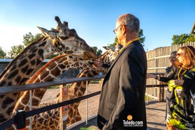 TDC-Zoo-To-Do-09-15-2023-17