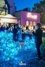 TDC-Zoo-To-Do-09-15-2023-61