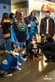 Paws-And-Pucks-Album-1-02-04-2024-08