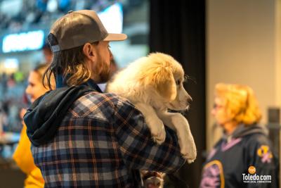 Paws-And-Pucks-Album-2-02-04-2024-30
