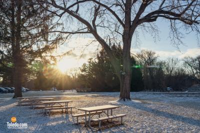Wintering-The-Oaks-TDC-02-17-2024-11