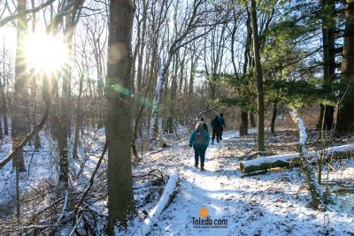 Wintering-The-Oaks-TDC-02-17-2024-29