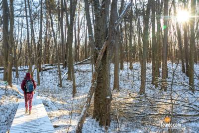 Wintering-The-Oaks-TDC-02-17-2024-41