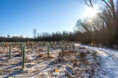 Wintering-The-Oaks-TDC-02-17-2024-48