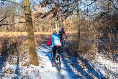 Wintering-The-Oaks-TDC-02-17-2024-54