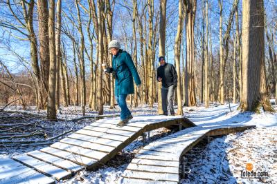 Wintering-The-Oaks-TDC-02-17-2024-61