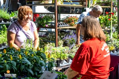 TDC-Flower-Days-05-25-2024-08
