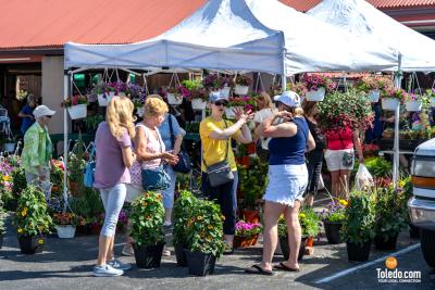 TDC-Flower-Days-05-25-2024-18