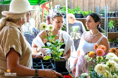 TDC-Flower-Days-05-25-2024-31