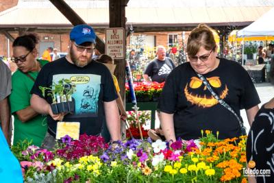 TDC-Flower-Days-05-25-2024-49