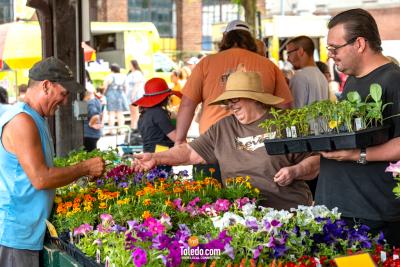 TDC-Flower-Days-05-25-2024-62