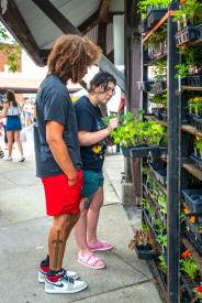 TDC-Flower-Days-05-25-2024-79