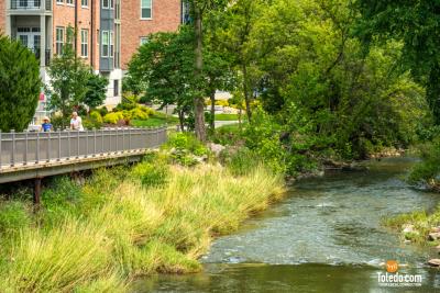 Sylvania-Plein-Air-Fest-07-30-31-2024-35