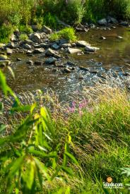 Sylvania-Plein-Air-Fest-07-30-31-2024-36