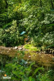 Sylvania-Plein-Air-Fest-07-30-31-2024-50