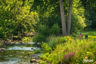 Sylvania-Plein-Air-Fest-07-30-31-2024-52