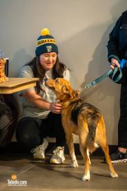 Toledo-Walleye-Paws-And-Pucks-01-26-2025-10
