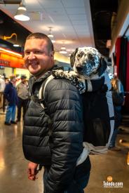 Toledo-Walleye-Paws-And-Pucks-01-26-2025-19