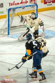 Toledo-Walleye-Paws-And-Pucks-01-26-2025-75
