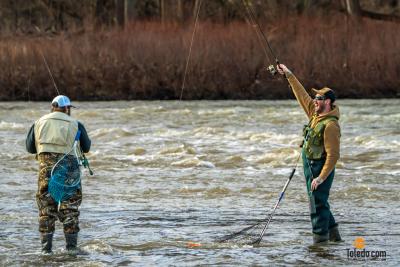 TDC-Maumee-River-Walleye-Run-2025-20