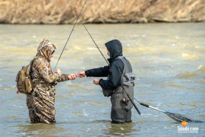TDC-Maumee-River-Walleye-Run-2025-29