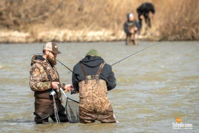 TDC-Maumee-River-Walleye-Run-2025-30
