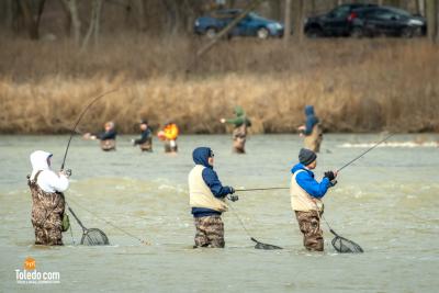 TDC-Maumee-River-Walleye-Run-2025-38