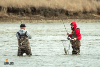 TDC-Maumee-River-Walleye-Run-2025-42