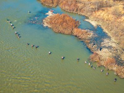 TDC-Maumee-River-Walleye-Run-2025-43