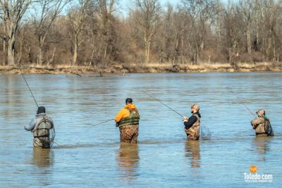 TDC-Maumee-River-Walleye-Run-2025-50