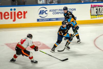 Toledo-Walleye-Goaldiggers-04-13-2025-76