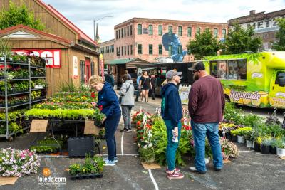 TDC-Flower-Days-Weekend-2025-17