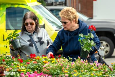 TDC-Flower-Days-Weekend-2025-20