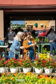 TDC-Flower-Days-Weekend-2025-22