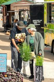 TDC-Flower-Days-Weekend-2025-25