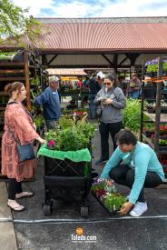 TDC-Flower-Days-Weekend-2025-26