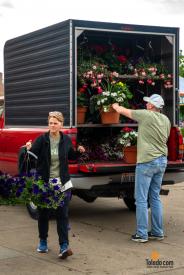 TDC-Flower-Days-Weekend-2025-35