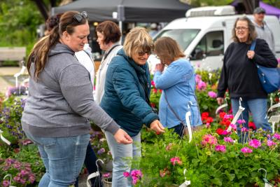 TDC-Flower-Days-Weekend-2025-36