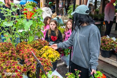 TDC-Flower-Days-Weekend-2025-43