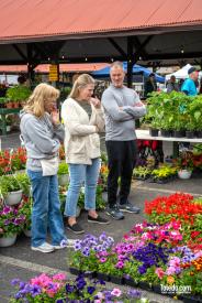 TDC-Flower-Days-Weekend-2025-46