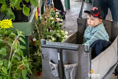 TDC-Flower-Days-Weekend-2025-57