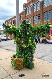 TDC-Flower-Days-Weekend-2025-62