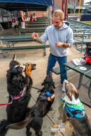 Hens-And-Hounds-06-10-2025-21